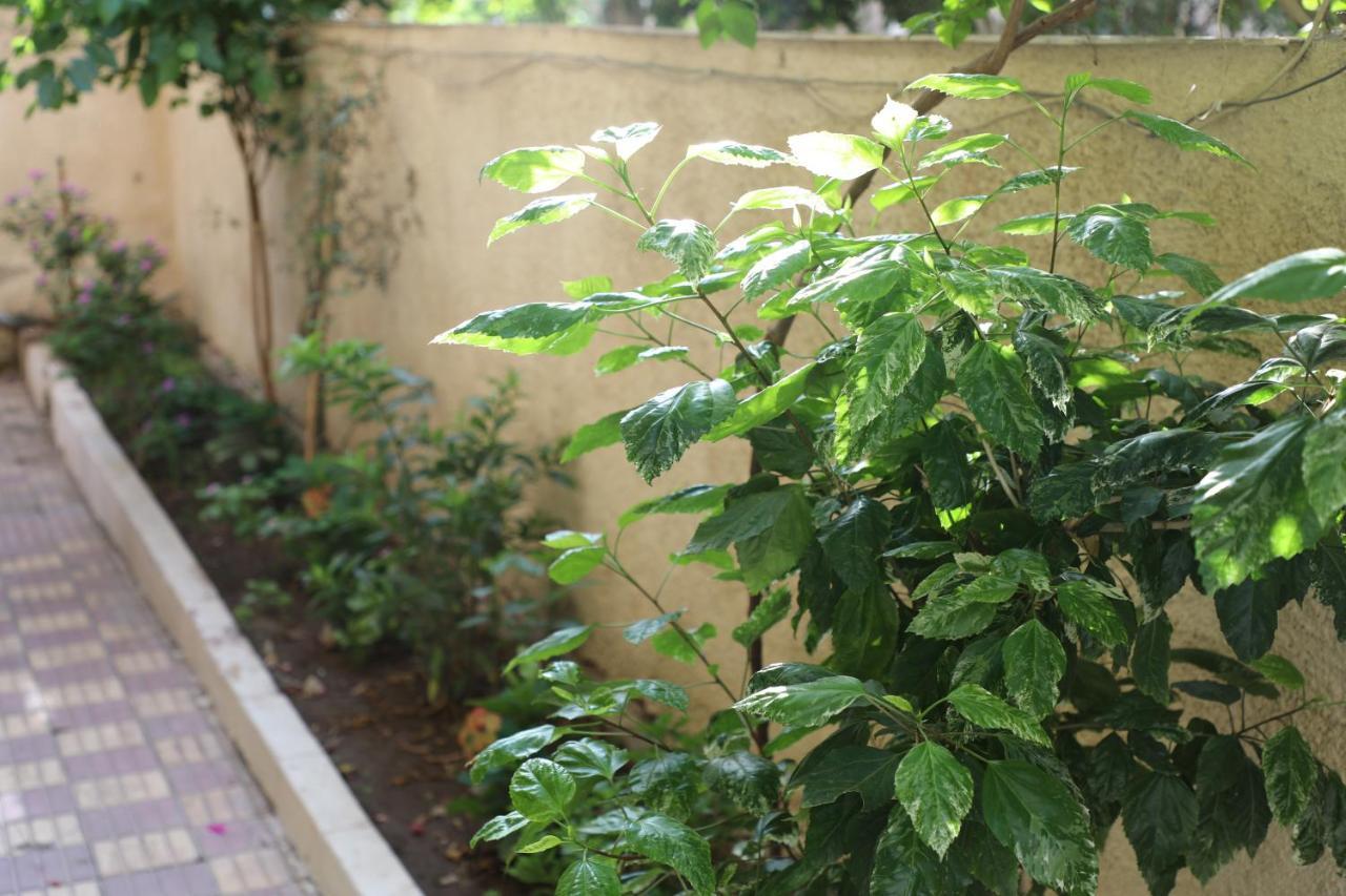 Villa Nasr City Кайро Екстериор снимка